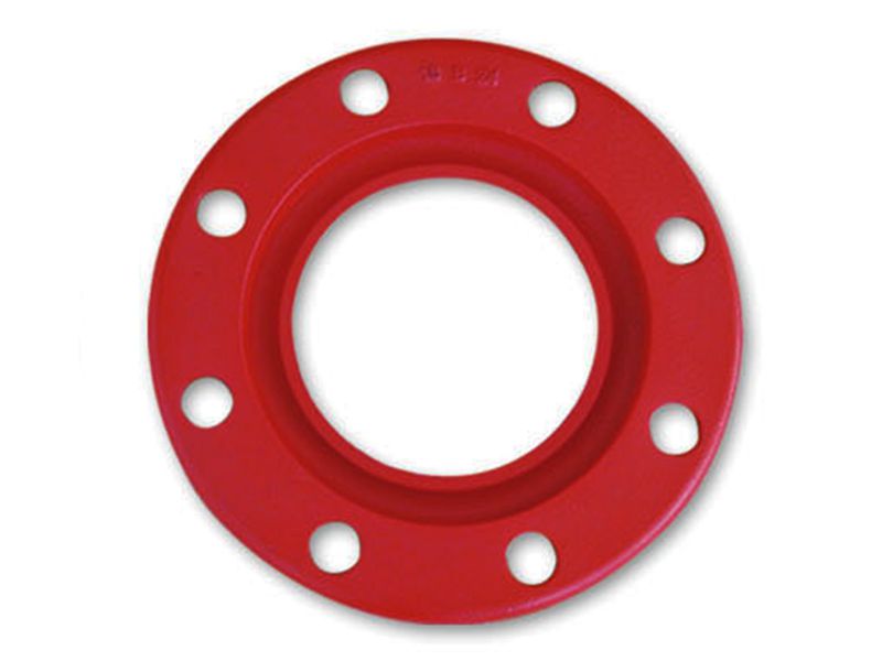 Grooved Ring Flange